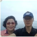 민금자 Daum카페
