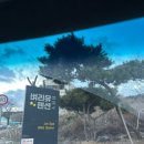 벼리유스테이 용담 이미지