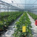 진행농장 이미지