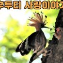 새신라체육관 이미지