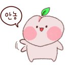 태백으뜸한우 이미지