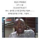 부산댁부산