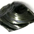 유경식 | 흑요석(Obsidian), 신석기 시대화살촉