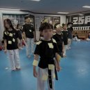 석사하나태권도 이미지