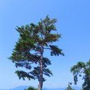 언덕위의 바다정원 이미지