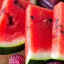 웰튼동물의료센터 이미지