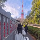 프린스타워 | 도쿄 프린스 호텔 내돈내산 후기｜도쿄타워 근처 위치 좋은 도쿄 숙소