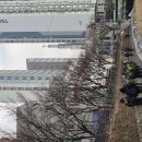 2026년 01/10(토) 청계천걷기(한성대역~종로3가역) 이미지