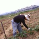 직산농장 이미지