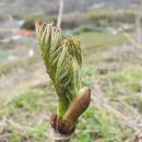 원순농장 이미지