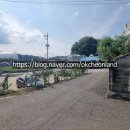 중앙로 옥천-6 이미지
