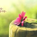한별 이미지