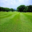 (주)마인여행사 | 겨울 해외골프여행 쿠알라룸푸르 KG사스CC 소개 &amp; 아카펠라호텔 동선이 완벽한 이유