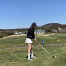 롯데스카이힐제주CC(회원제 18홀) | 제주 롯데스카이힐CC 후기 | 회원제 양잔디 복구 완료! 그늘집 돌문어·흑돼지짜장면까지 완벽했던 라운딩