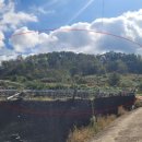 학산면 버스정류장 이미지