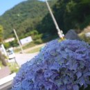 까르마 풀빌라 2 | 여수 키즈풀빌라 까르마 펜션 방문 후기 [여행]