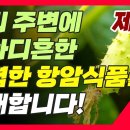 엄지발가락 만지면 기적을 일으킨다.. 외 2건 [이수범회장님의 카톡에서] 이미지