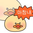 루루순대 이미지