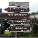 우포가시연꽃마을 이미지