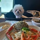 속초현지인대게맛집 유진게찜 애견 동반 배 터지는 솔직후기