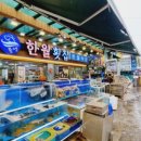 부산횟집 이미지