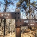 수원-1308 네이버블로그