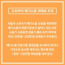 거진오토바이