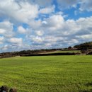 백송공인중개사 사무소 이미지