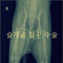 사랑우리애동물병원 이미지