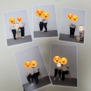 [내돈내산]다비스튜디오 초지점에서 만삭사진 가족사진 커플사진 촬영 후기