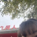 동훈자원 | [🇨🇳중국 유학생활] #14 중국 장춘 한국주 행사 | 대외활동 + 봉사활동 | 동북사범대학교 유학생 | 어학...