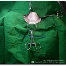 밀리언동물병원 이미지