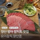 양산 | 양산 범어 참치 맛집 요이참치 (YOI TUNA)양산점 방문 후기