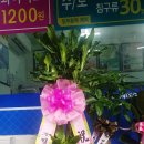 월드크리닝대구북구 - 북구 구암로49길 19-1 | 월드크리닝대구북구