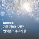 이츠글라시스안경체인(본점) 이미지