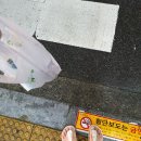 지리산약국 이미지