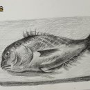 초등수채화 이미지