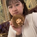 그린제과점 | 토이콘서울 후기 (+ 코엑스 구경, 보따리제과점 🤎)