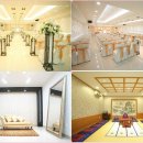 아네스 헤어 이미지