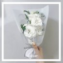 D00619 | FLIP[플립] : 꽃 정기구독 리시안셔스