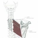 365청담한의원 이미지