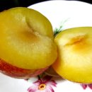 가을소녀 이미지