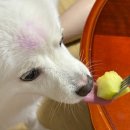 한미농장 이미지