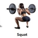 고릴라휘트니스 이미지