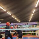 최고체육관 복싱클럽 이미지