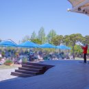 곡성 섬진강 기차마을 펜션 이미지