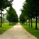 새소리 물소리 이미지