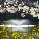 이서방 이미지