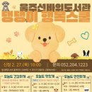 오세요 댕댕이 이미지