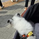 포레스트동물의료센터 이미지